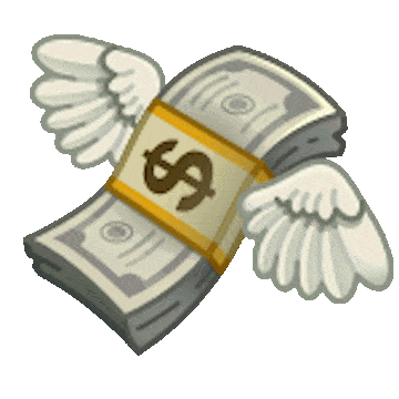 Affordable pricing